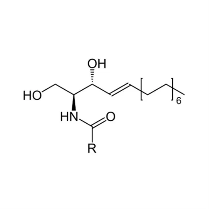 Ceramides Mixture